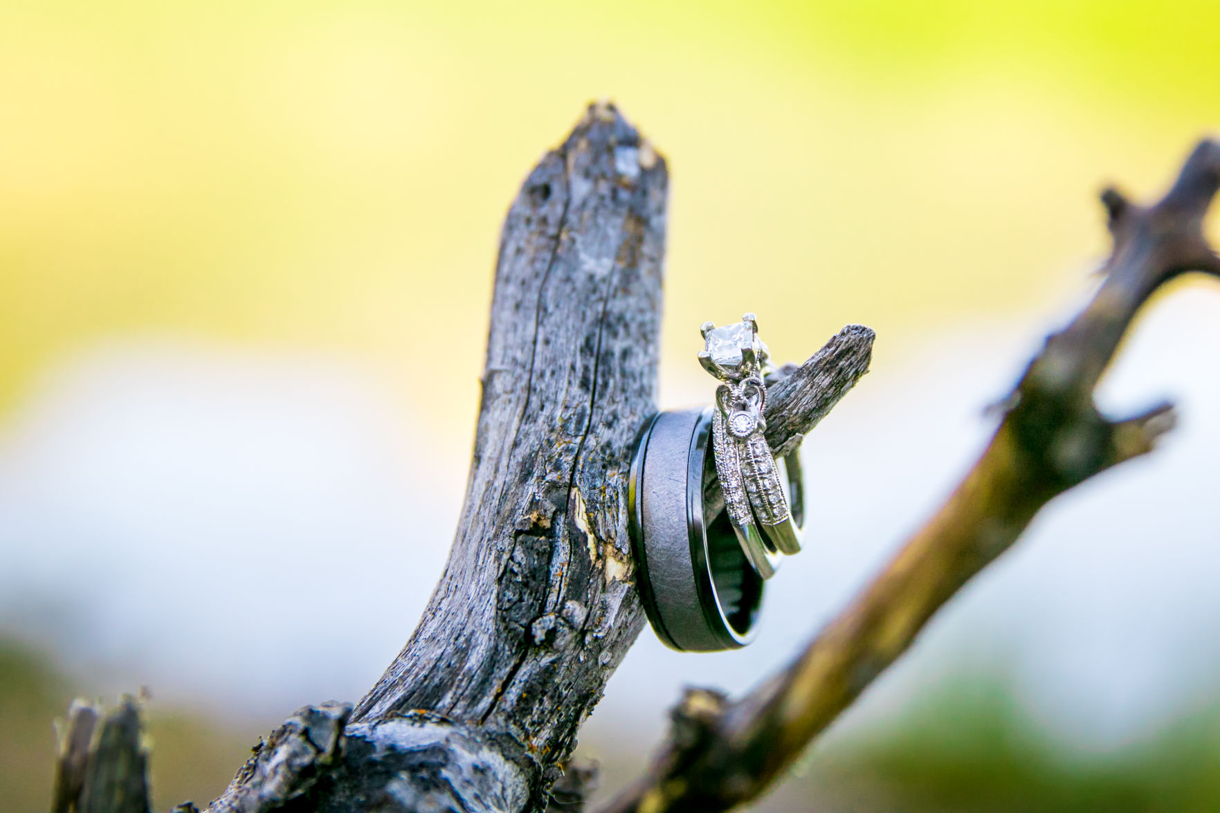 Holland Lake Lodge Wedding